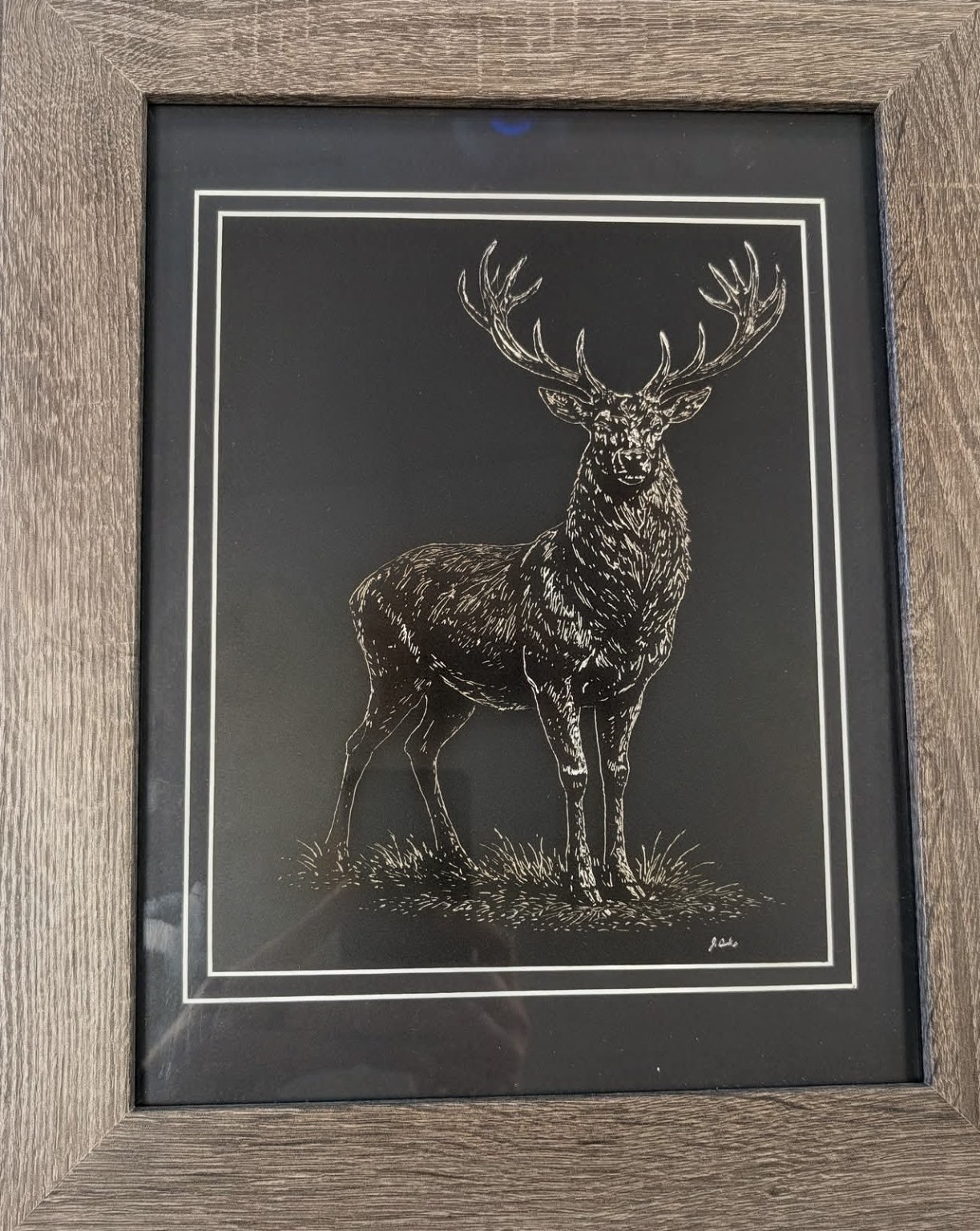 Framed deer etching