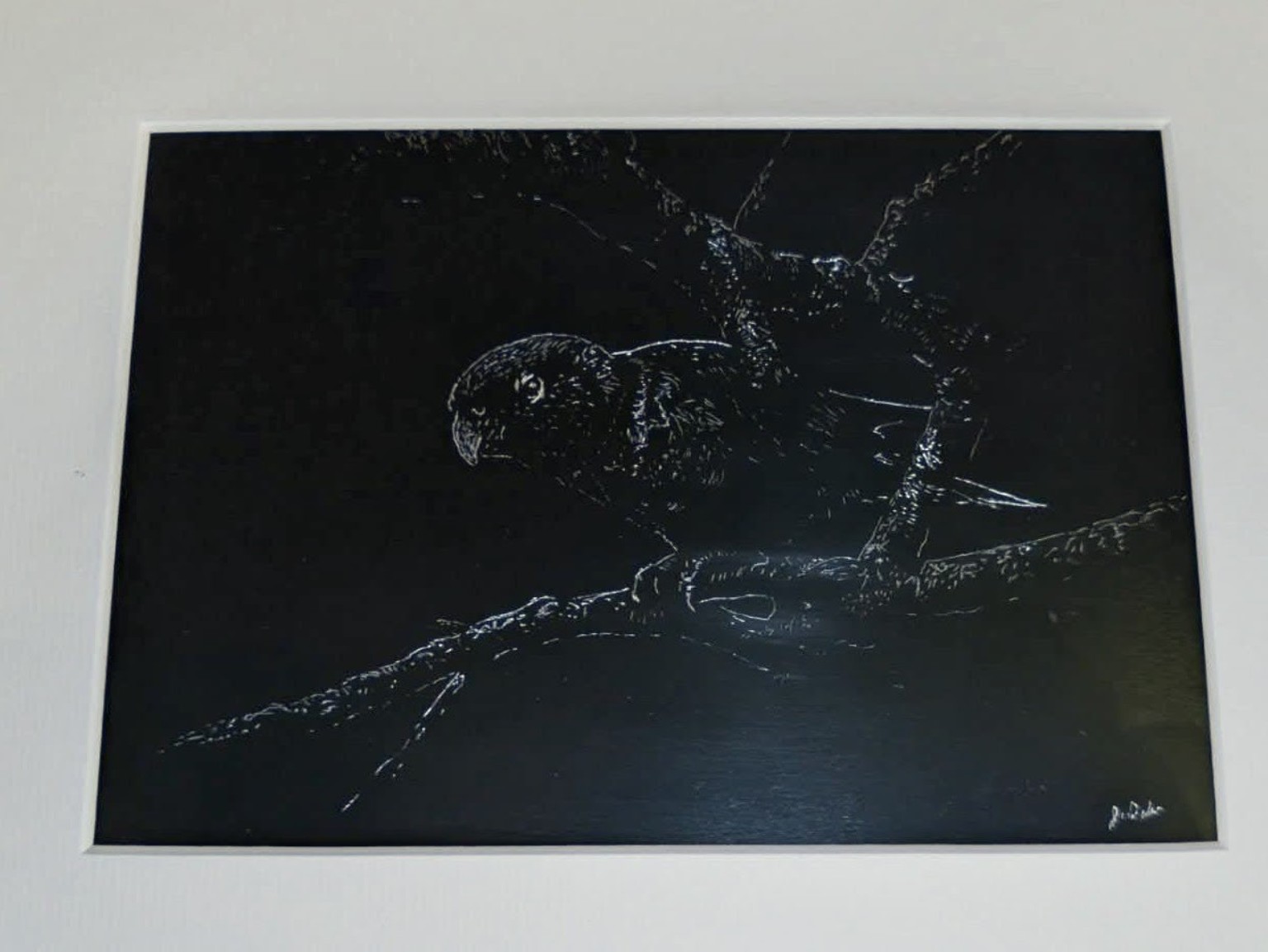 Etching of an owl perched on a branch