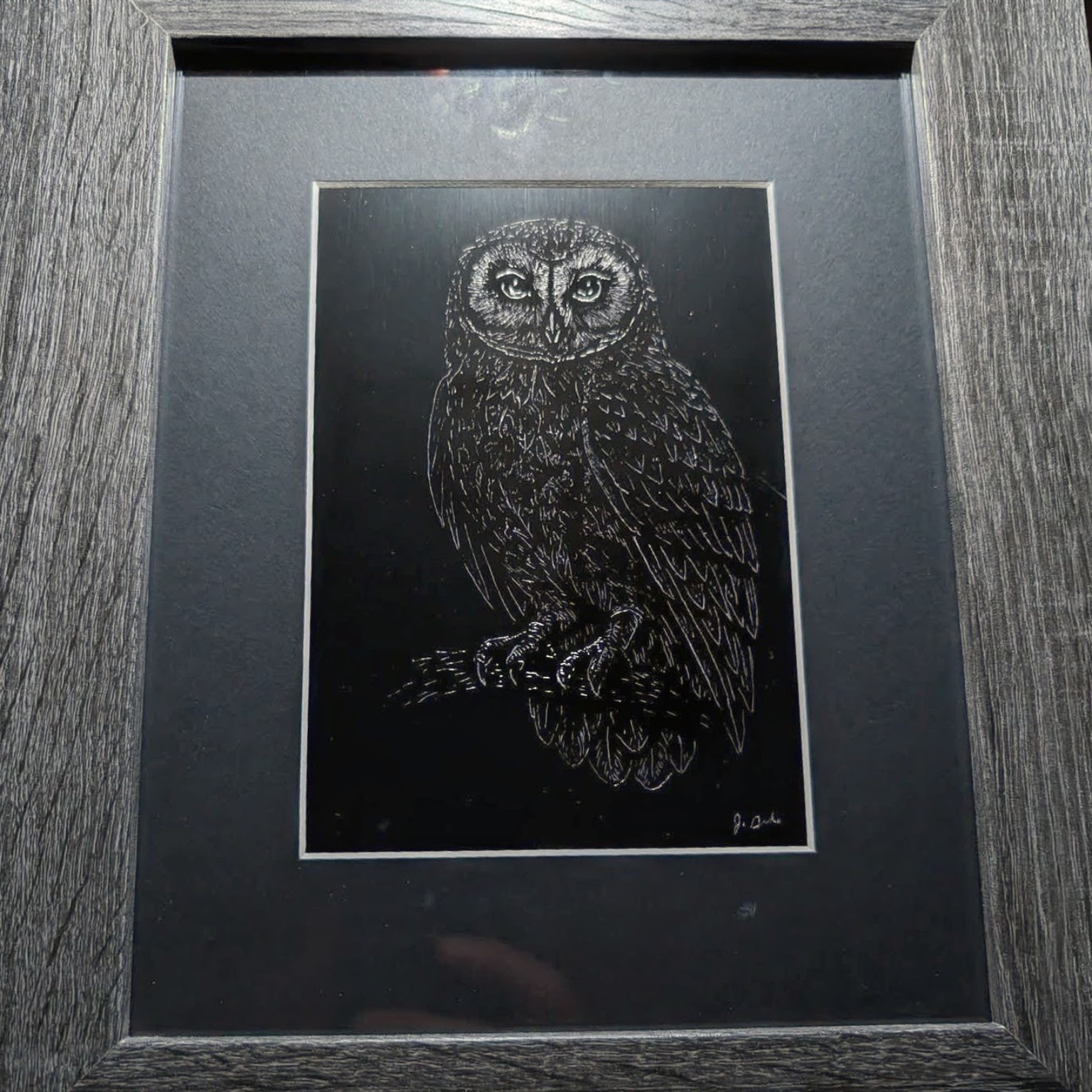 Framed owl etching