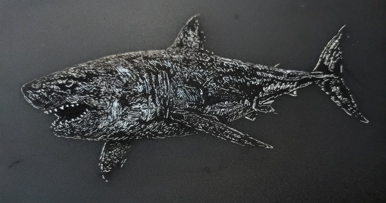 Shark etching